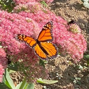 Meet your Posher, Eddy